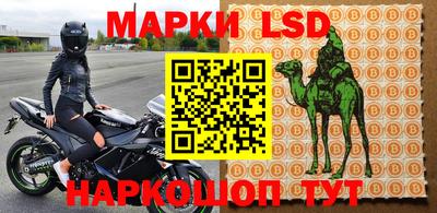 СК Будённовск