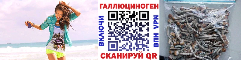 купить наркотик  Киржач  Псилоцибиновые грибы мицелий 