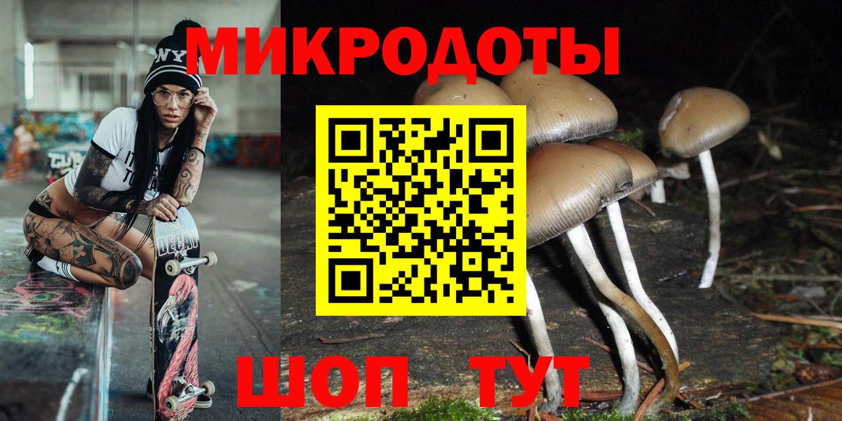 Киржач  Псилоцибиновые грибы Cubensis  Вход с VPN 